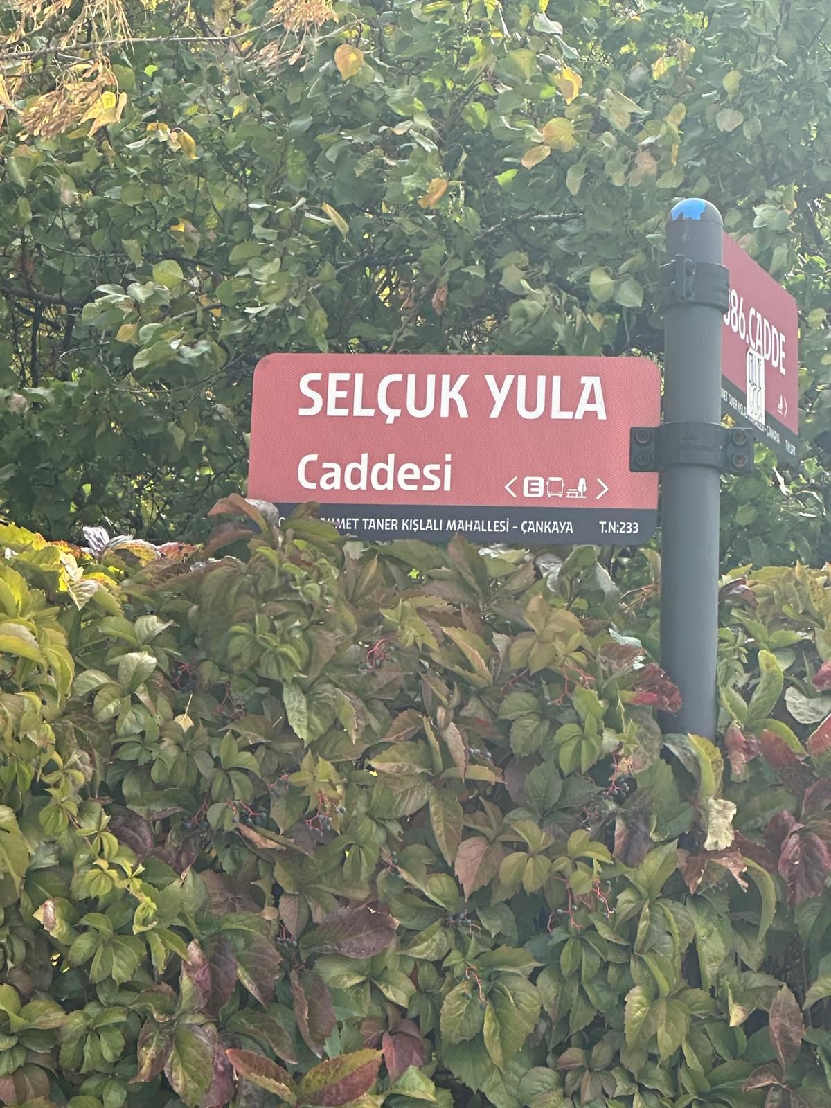 Yeni Merkezimizin Bulunduğu Caddenin Adı “Selçuk Yula Caddesi” olarak değişti
